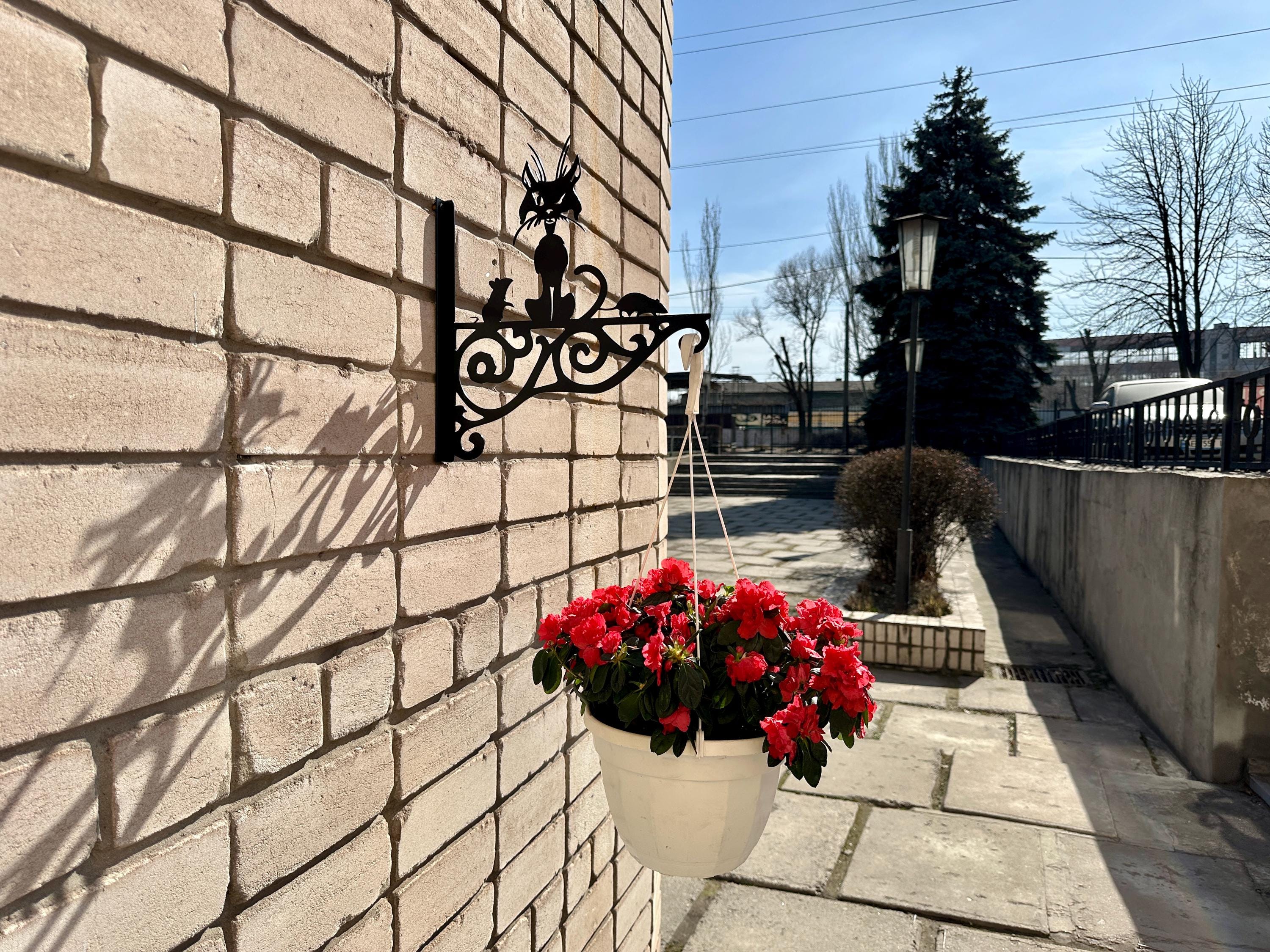 Metal Plant Hanger