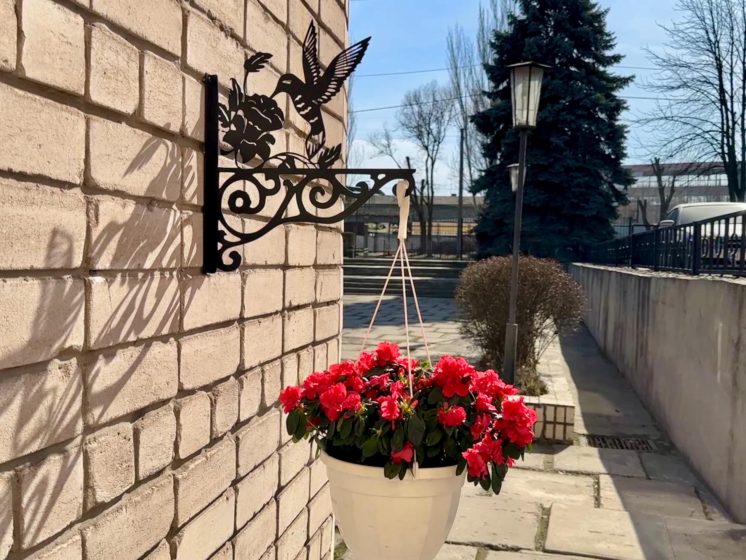 Colibri metal outdoor plant hanger