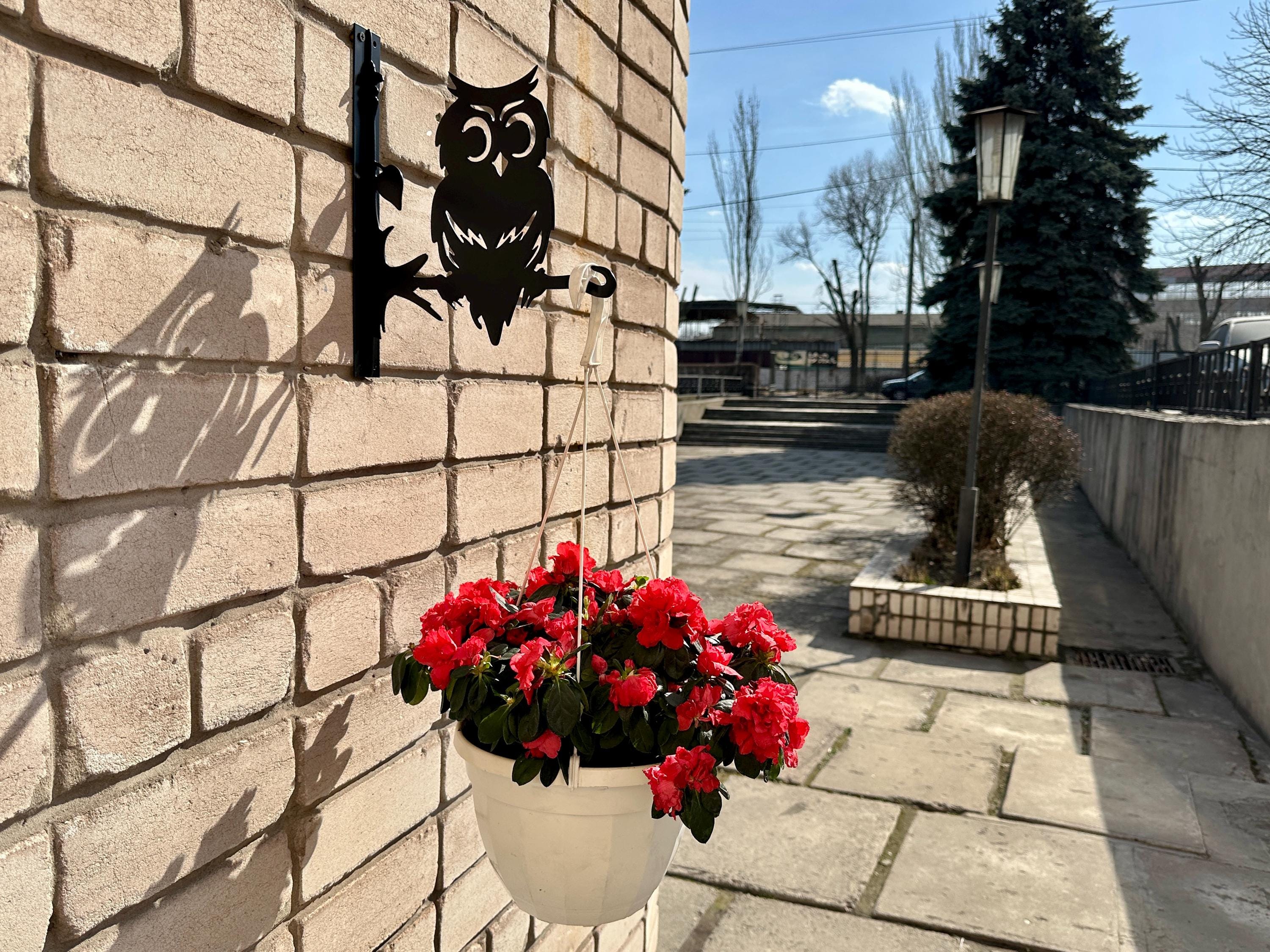 Owl metal outdoor plant hanger