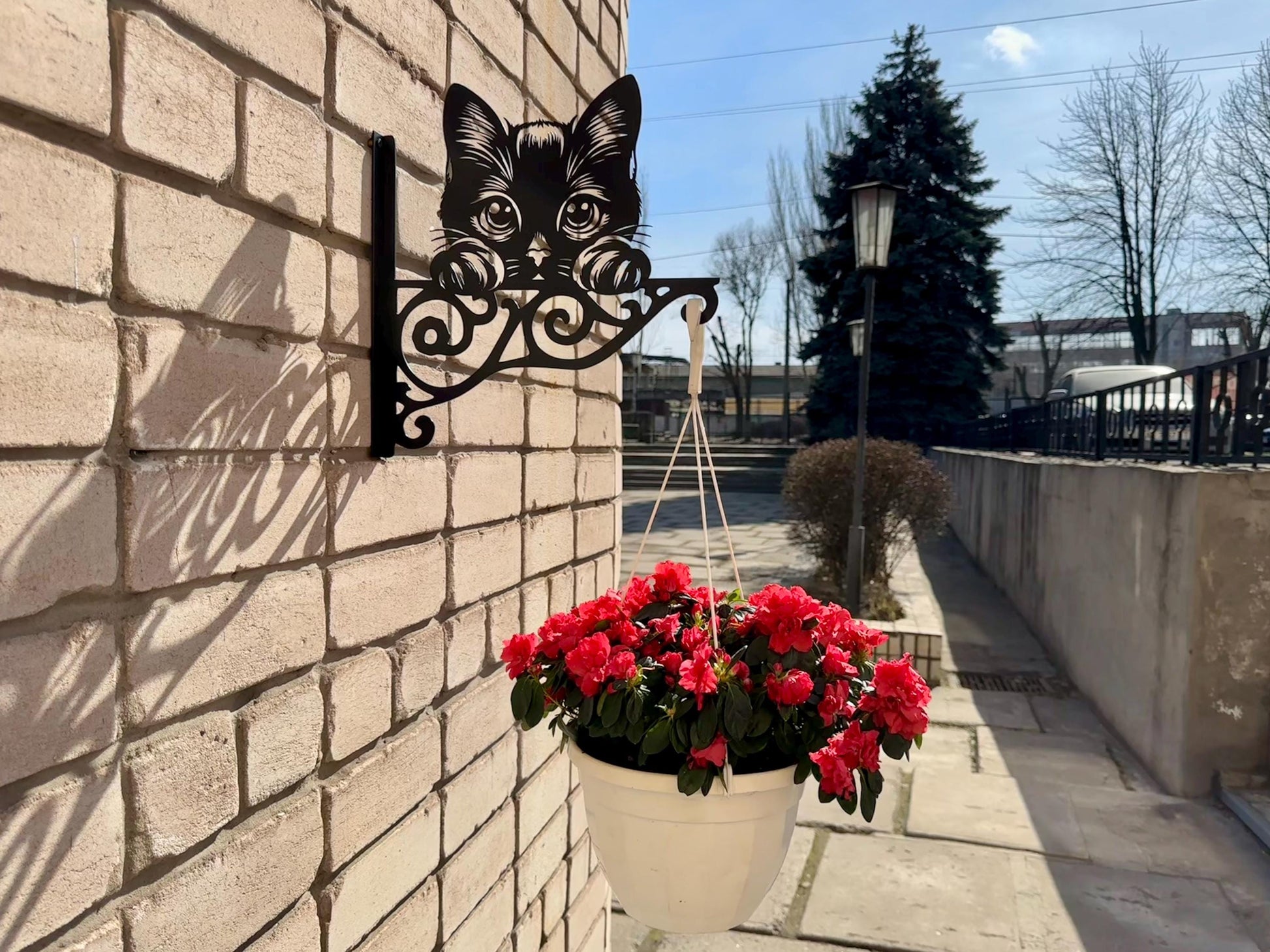 Kitten Flower Pot Bracket — 2