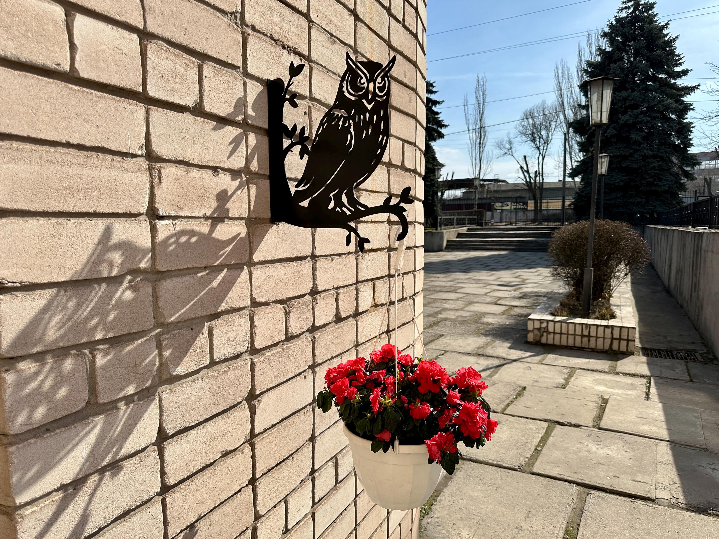 Owl Metal Plant Hanger