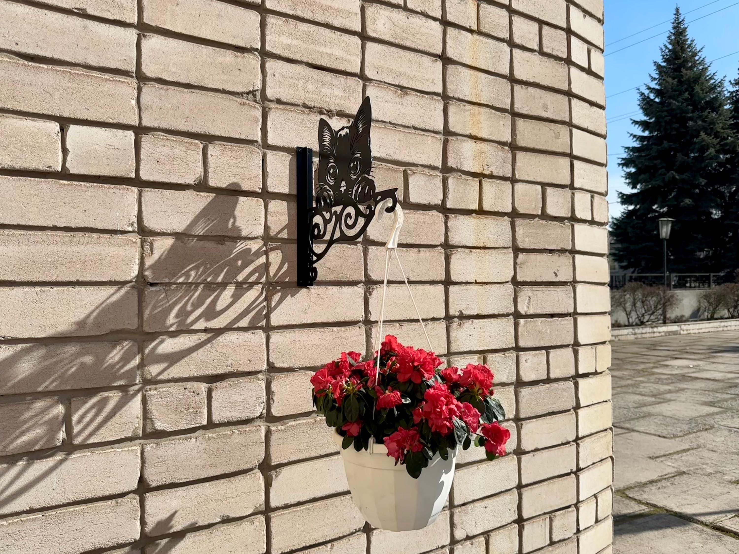 Kitten Flower Pot Bracket — 3