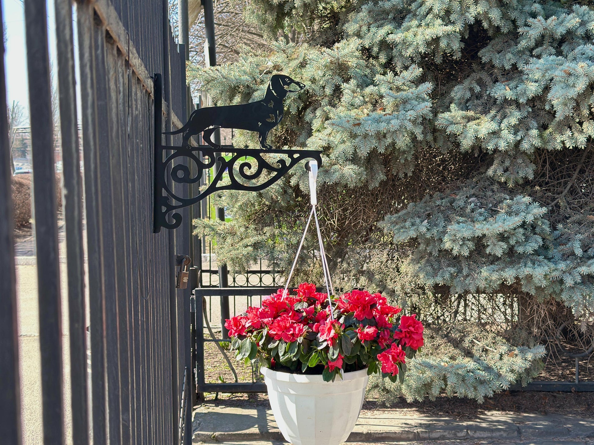Dachshund metal outdoor plant hanger — 2