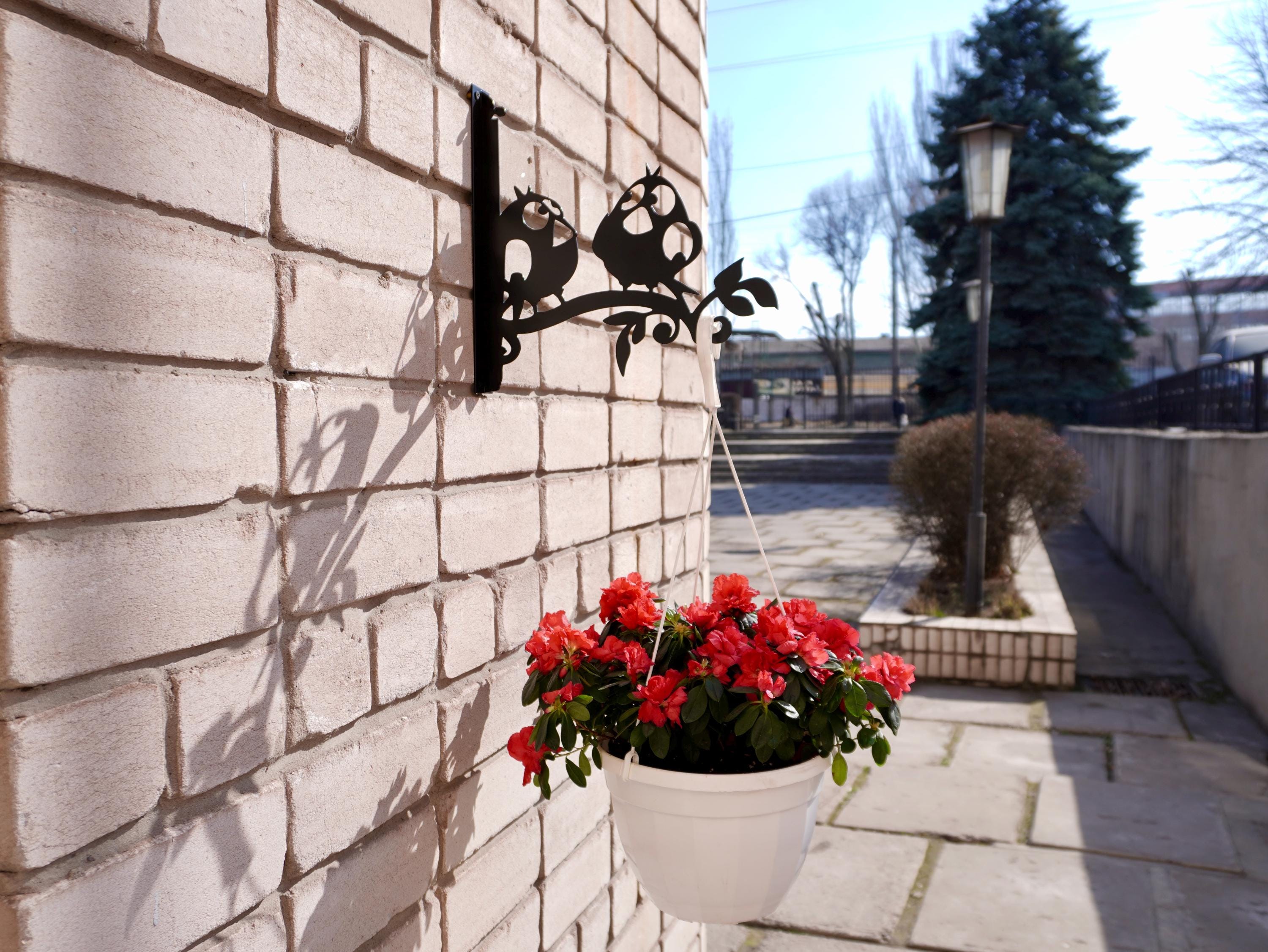 Funny birds metal outdoor plant hanger