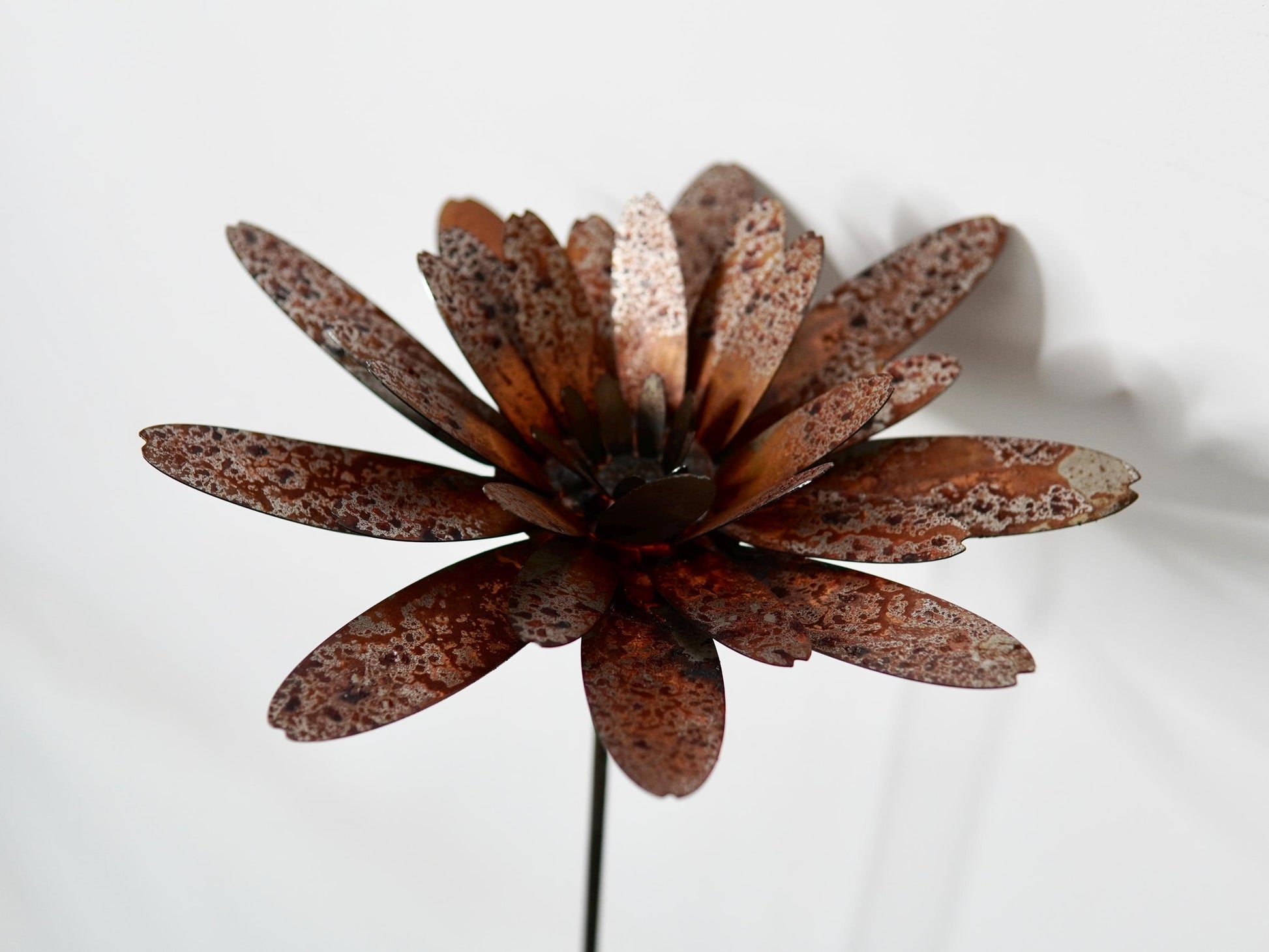 Gerbera Flower for Your Lawn. Rusty Stake Decorations for Patio or Yar — 3