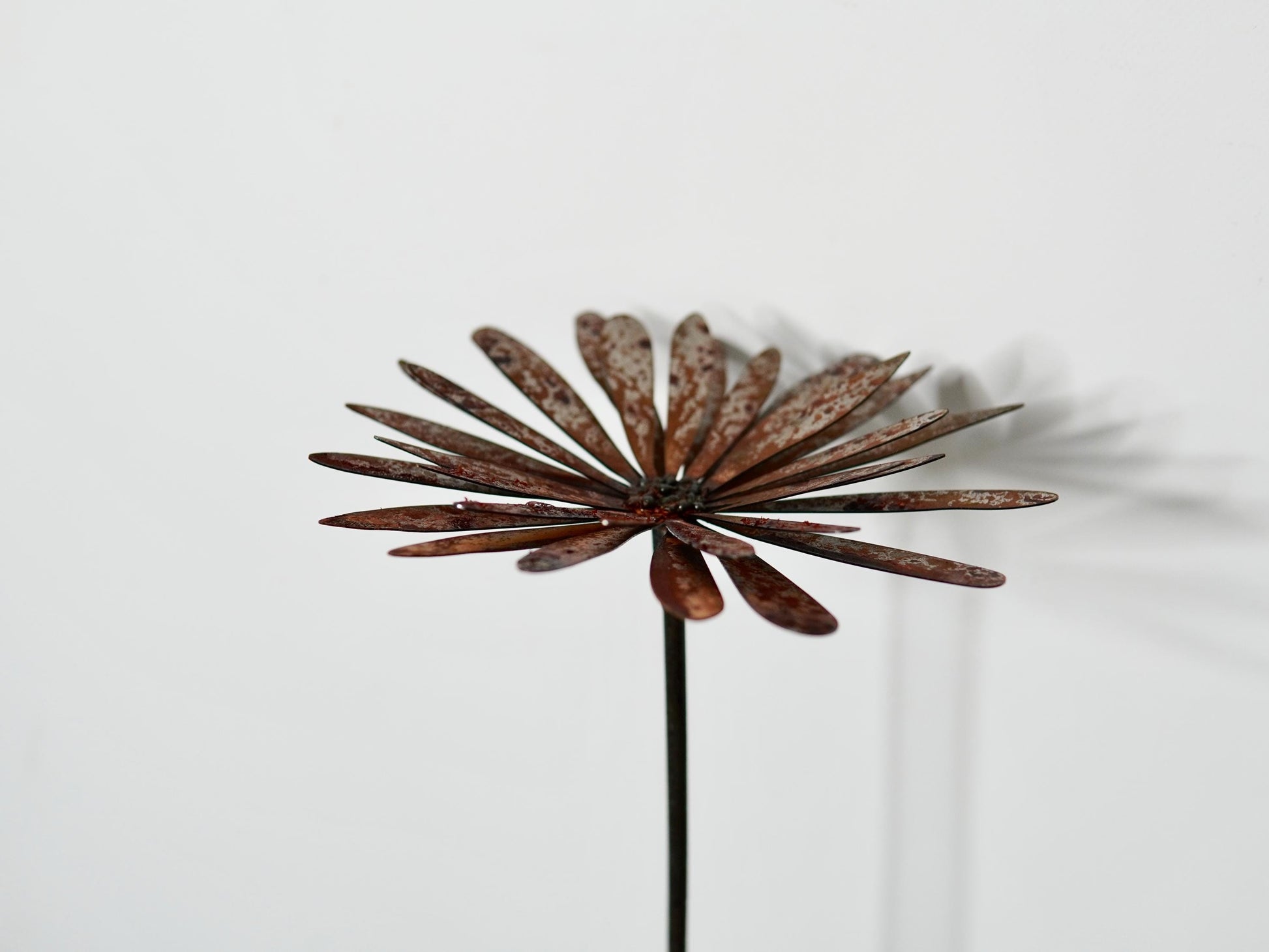 Rusty Metal Aster Flower Stake — 4