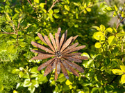 Rusty Metal Aster Flower Stake