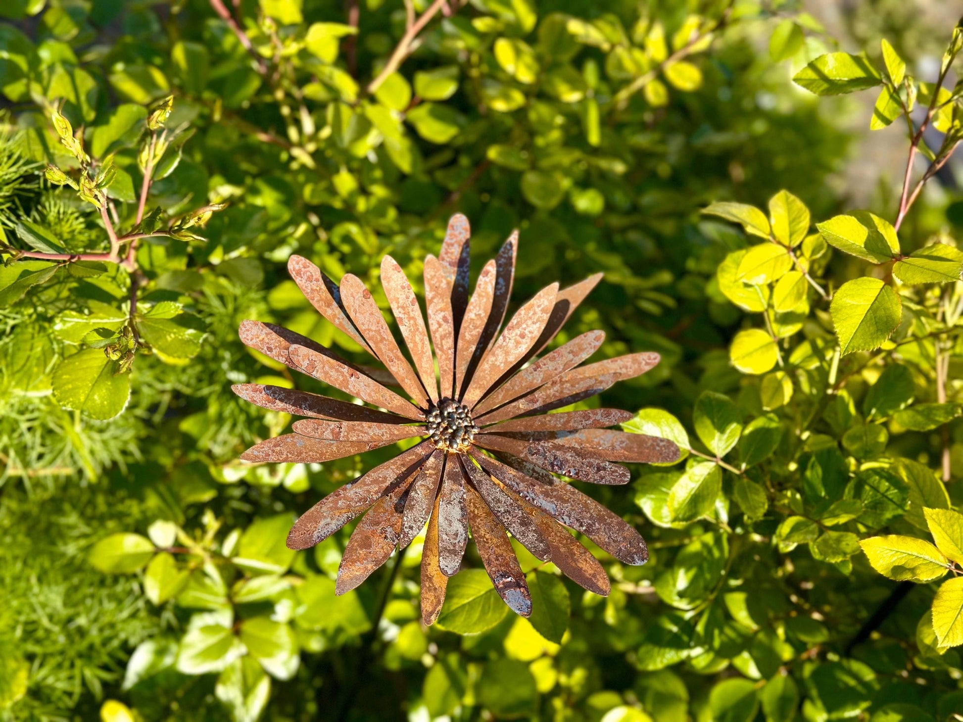 Rusty Metal Aster Flower Stake