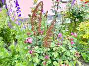 Rusty Metal Fern Garden Stake