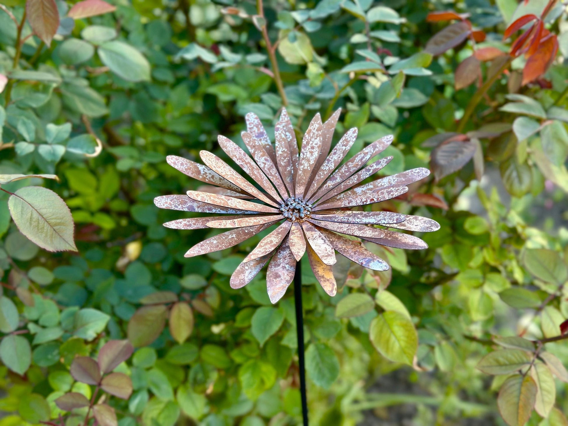 Rusty Metal Aster Flower Stake — 2