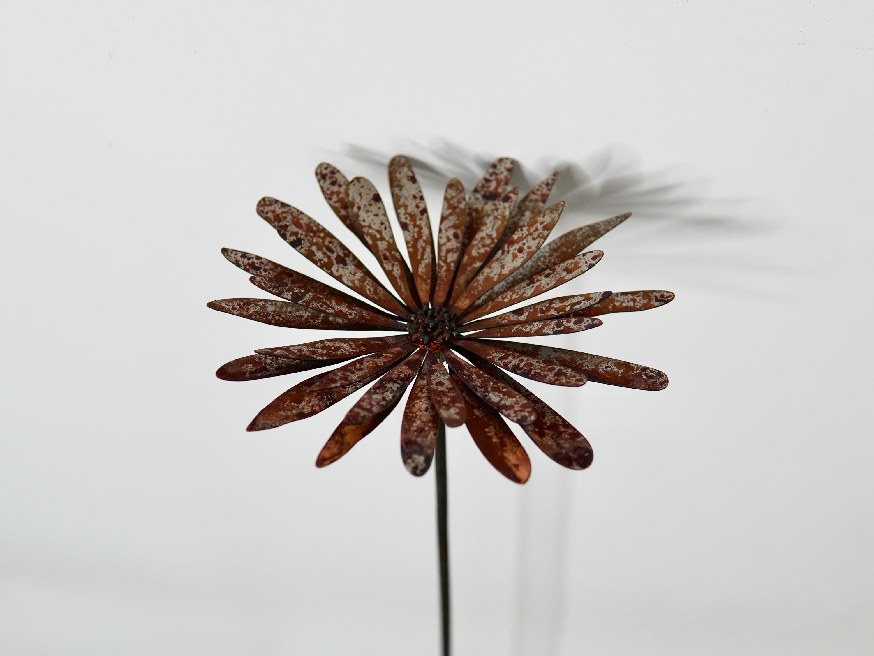 Rusty Metal Aster Flower Stake — 3