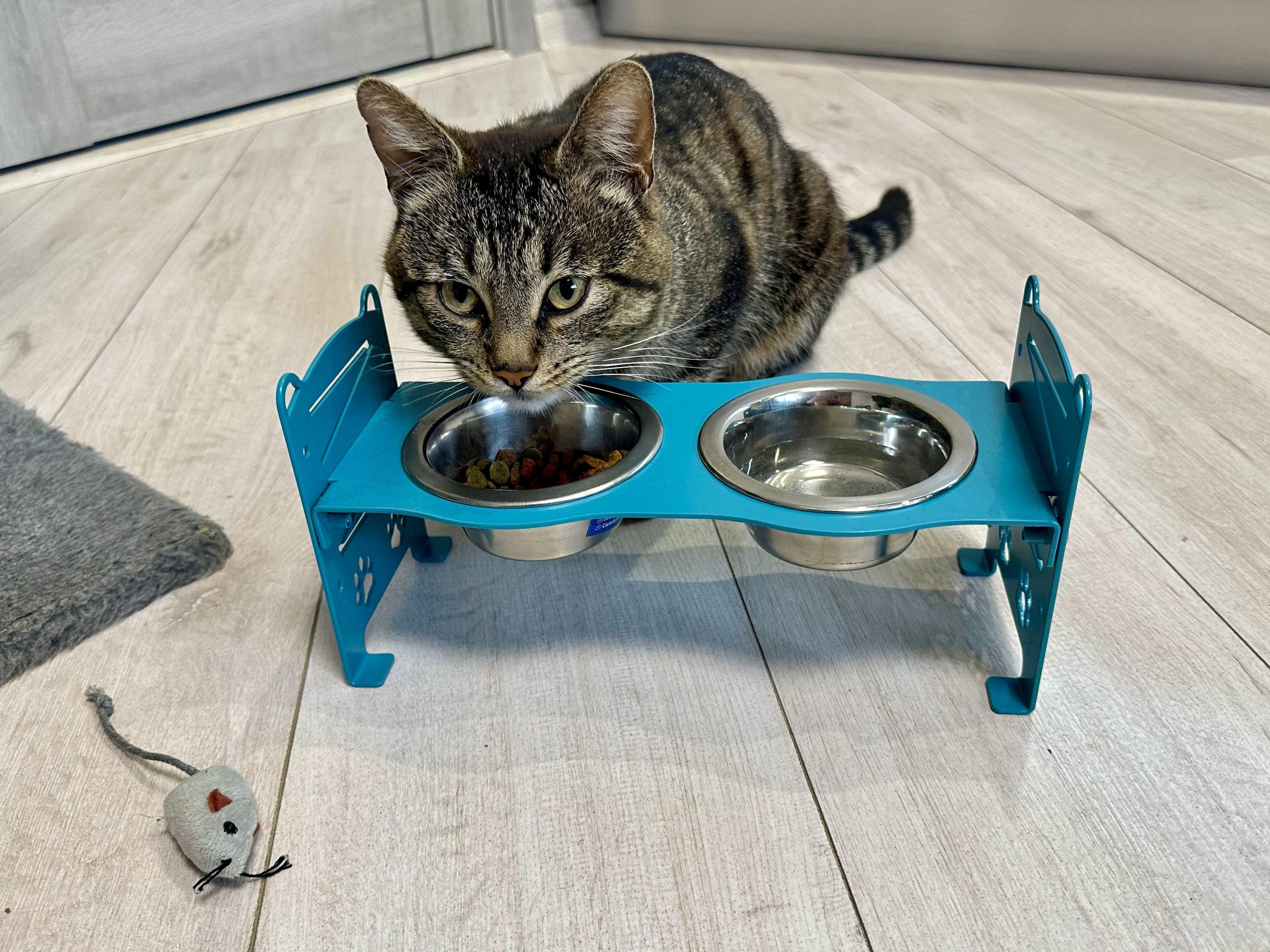 Adjustable Elevated Pet Feeder — 2