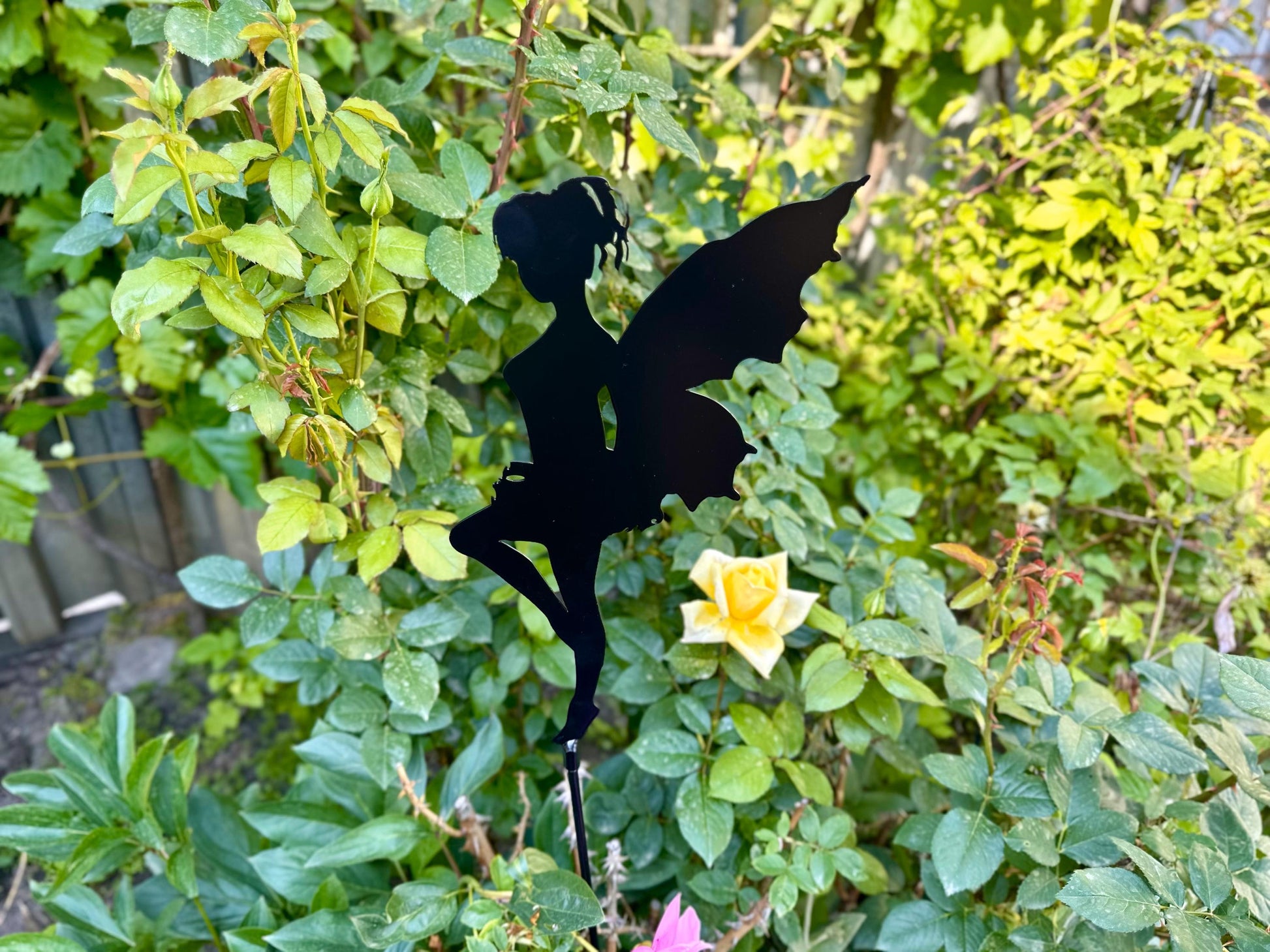 Pixie For Backyard or Patio. Elegant Accent for Your Outdoor Escape. — 4