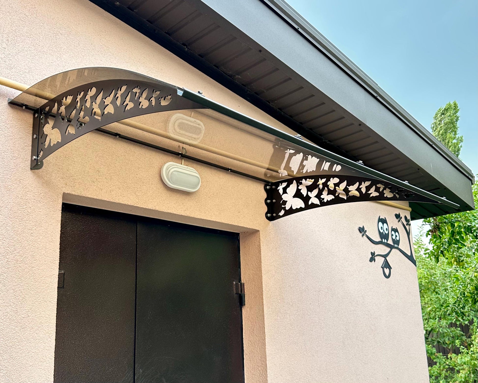 Transparent Door Canopy — 3