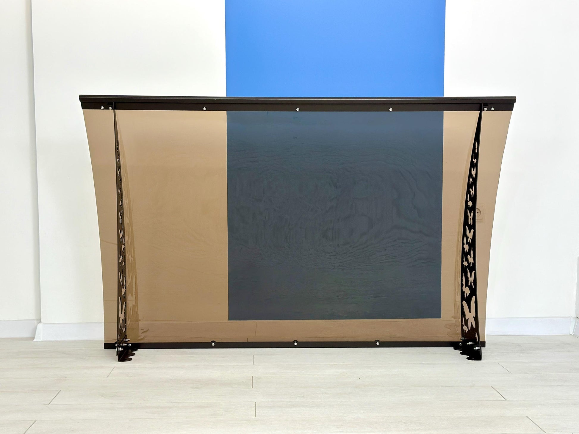 Transparent Door Canopy — 9