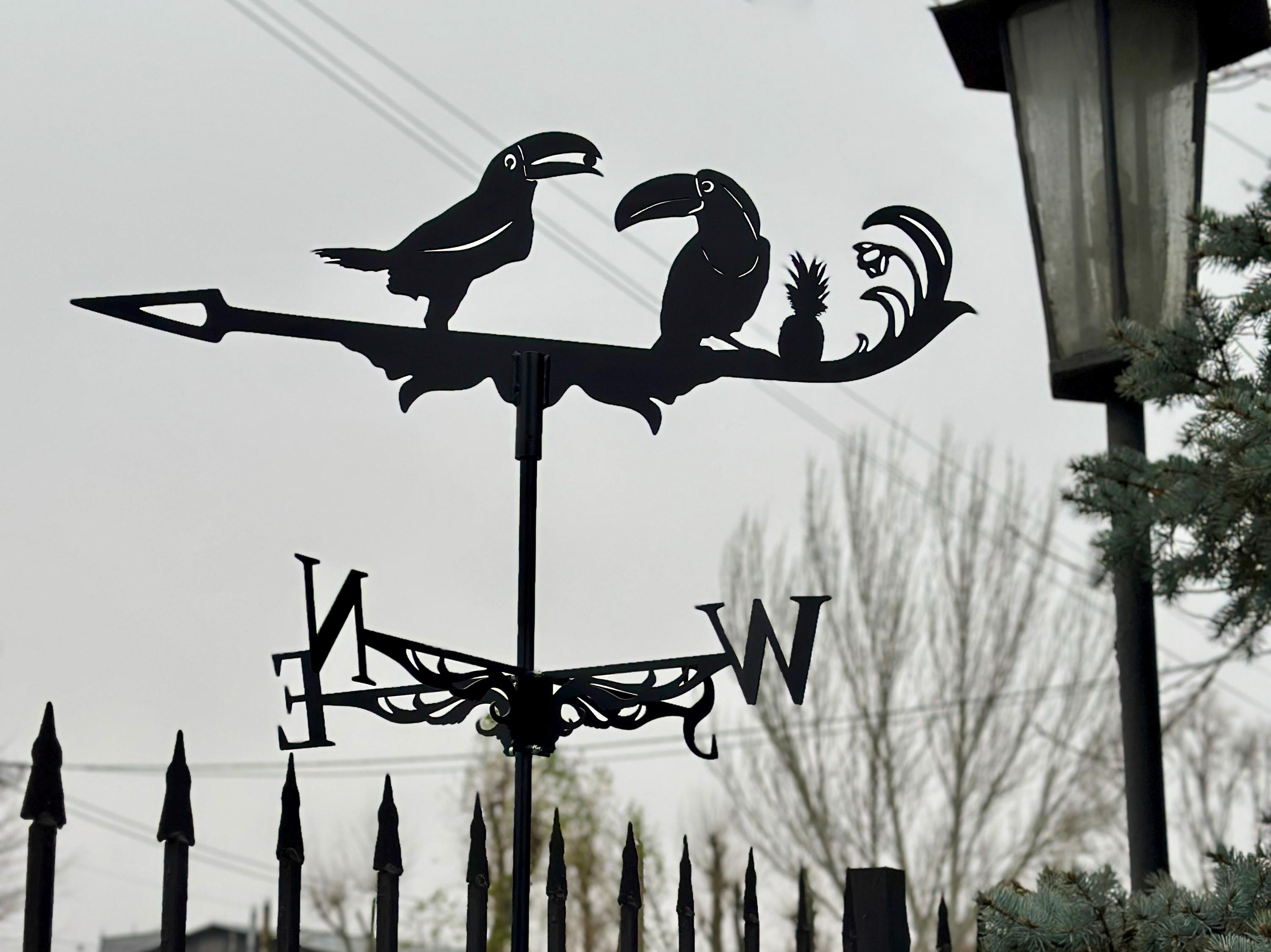 Toucan Weathervane — 6