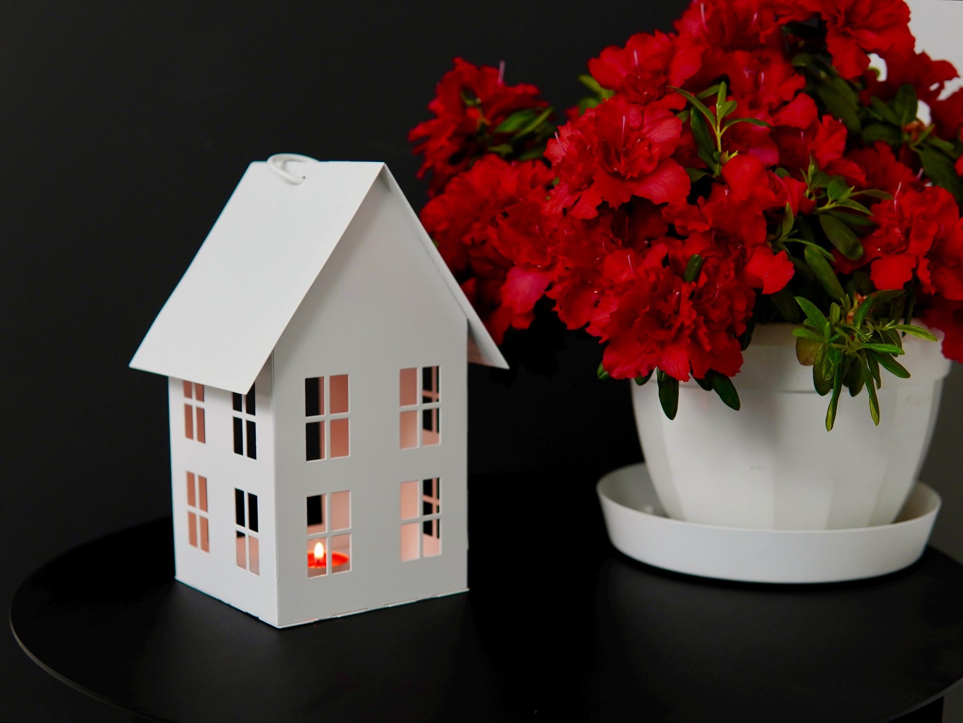 Bird Feeder. Decorative House and Lantern or Candle Holder. Made From  — 9