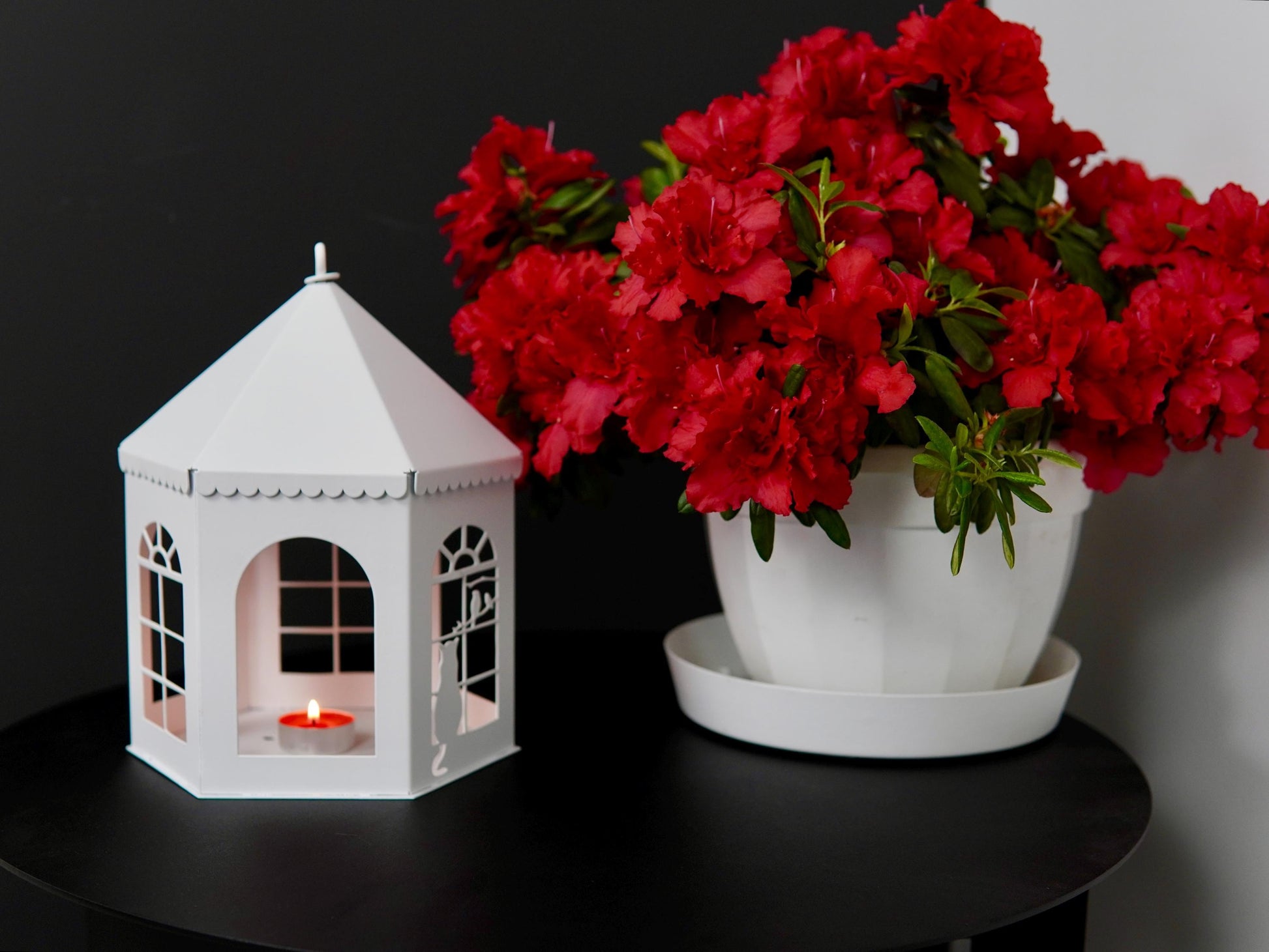 Metal Lantern with Cat and Birds — 2